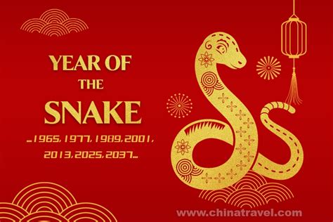 二十生肖|Chinese Zodiac: 2025 Year of Snake, 12 Animal Signs, Calculator